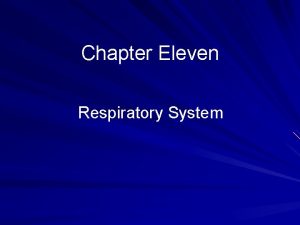 Chapter Eleven Respiratory System Learning Outcomes Describe the