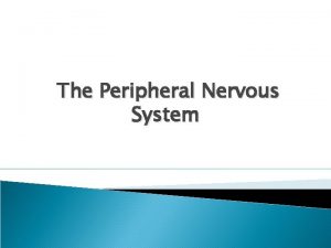 The Peripheral Nervous System Sistem saraf perifer Sistem