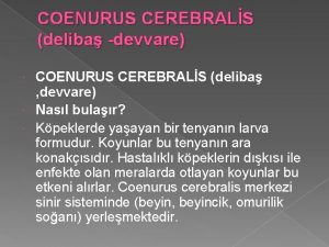 COENURUS CEREBRALS deliba devvare COENURUS CEREBRALS deliba devvare