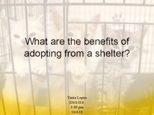 What are the benefits of adopting from a