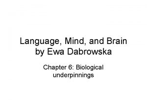 Language Mind and Brain by Ewa Dabrowska Chapter