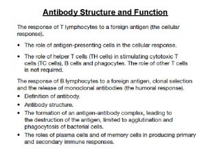 Antibody Structure and Function What are lymphocytes Lymphocytes