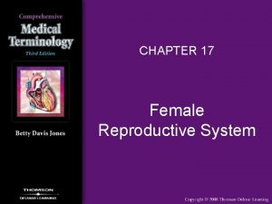CHAPTER 17 Female Reproductive System Female Reproductive System