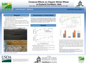 Compost Effects on Organic Winter Wheat in Dryland