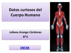 Datos curiosos del Cuerpo Humano Juliana Arango Crdenas