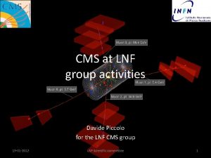 CMS at LNF group activities Davide Piccolo for