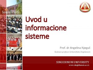 Uvod u informacione sisteme Prof dr Angelina Njegu