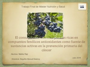 Trabajo Final de Mster Nutricin y Salud El