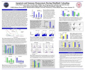 Apoptosis and Immune Homeostasis During Hindlimb Unloading Arthur