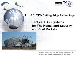 Bluebirds Cutting Edge Technology Tactical UAV Systems for