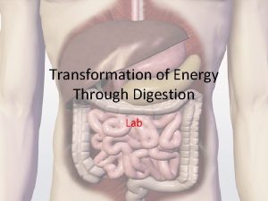 Transformation of Energy Through Digestion Lab Physical and