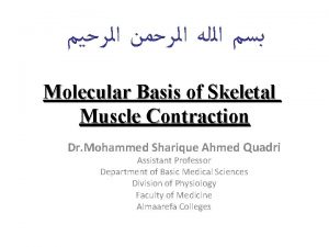 Molecular Basis of Skeletal Muscle Contraction Dr Mohammed