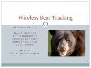 Wireless Bear Tracking MAY 1010 DIGI BLANE CHESNUT