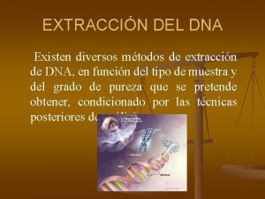 EXTRACCIN DEL DNA Existen diversos mtodos de extraccin