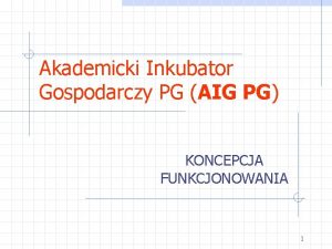 Akademicki Inkubator Gospodarczy PG AIG PG KONCEPCJA FUNKCJONOWANIA