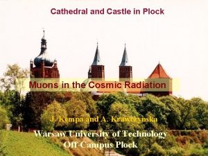 Cathedral and Castle in Plock Muons in the