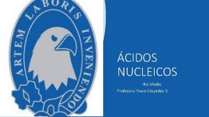 CIDOS NUCLEICOS 4 to Medio Profesora Paula Cspedes