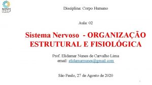 Disciplina Corpo Humano Aula 02 Sistema Nervoso ORGANIZAO