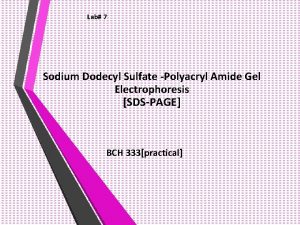 Lab 7 Sodium Dodecyl Sulfate Polyacryl Amide Gel