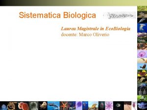 Sistematica Biologica Laurea Magistrale in Eco Biologia docente