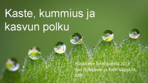 Kaste kummius ja kasvun polku Hankkeen lhtkohtia 2018