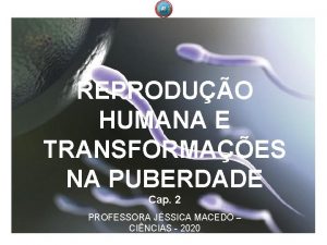 Reproduo humana e REPRODUO transformaes na puberdade E