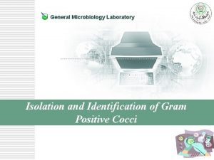 General Microbiology Laboratory Isolation and Identification of Gram