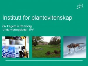 Institutt for plantevitenskap Siv Fagertun Remberg Undervisningsleder IPV