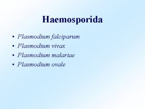 Haemosporida Plasmodium falciparum Plasmodium vivax Plasmodium malariae Plasmodium