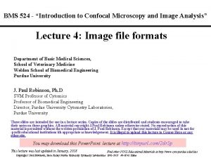 BMS 524 Introduction to Confocal Microscopy and Image