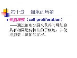 G 2 OF INTERPHASE PROMETAPHASE Centrosomes Fragments Early