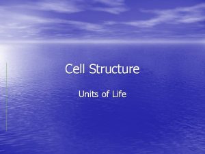 Cell Structure Units of Life Every living thing