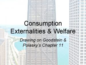 Consumption Externalities Welfare Drawing on Goodstein Polaskys Chapter