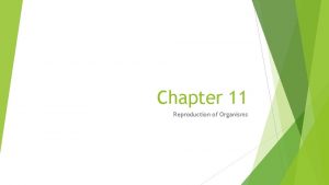 Chapter 11 Reproduction of Organisms Sexual Reproduction and