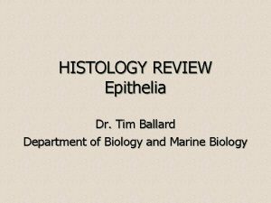 HISTOLOGY REVIEW Epithelia Dr Tim Ballard Department of