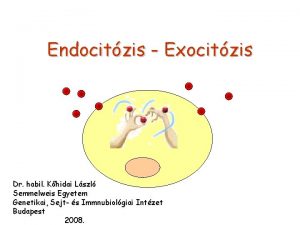 Endocitzis Exocitzis Dr habil Khidai Lszl Semmelweis Egyetem