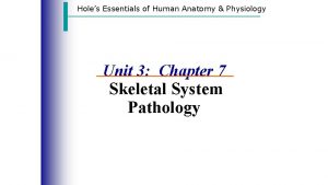 Holes Essentials of Human Anatomy Physiology Unit 3