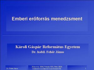 Emberi erforrs menedzsment Kroli Gspr Reformtus Egyetem Dr