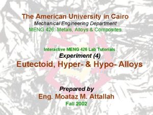 The American University in Cairo Mechanical Engineering Department