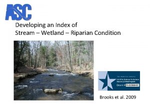 Developing an Index of Stream Wetland Riparian Condition