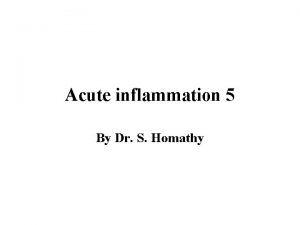 Acute inflammation 5 By Dr S Homathy Basophils
