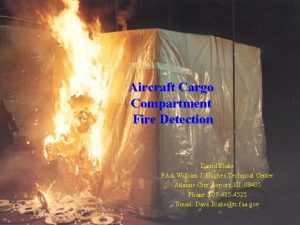 Aircraft Cargo Compartment Fire Detection David Blake FAA