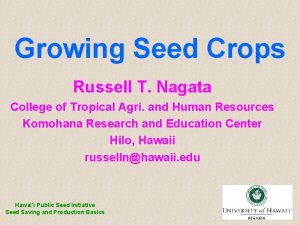 Growing Seed Crops Russell T Nagata College of
