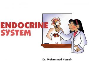 Dr Mohammed Hussein Is a group of glands