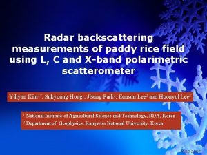 Radar backscattering measurements of paddy rice field using