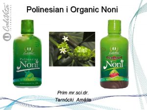 Polinesian i Organic Noni Prim mr sci dr