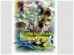 ELURIKKUS MAAL BIODIVERSITEET M Agasild 2015 MIS ON