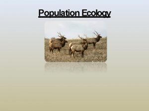 Population Ecology What is population ecology Science that