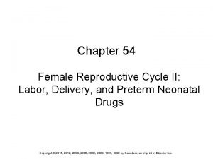 Chapter 54 Female Reproductive Cycle II Labor Delivery