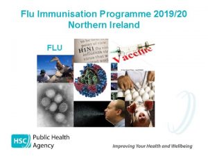 Flu Immunisation Programme 201920 Northern Ireland PHA would